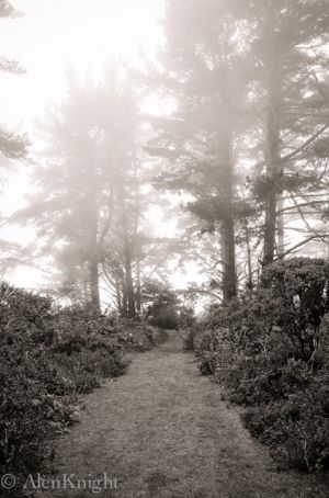 2009 snaps (69 of 104).jpg